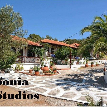 Sonia Studios Nees Kidonies Номер фото