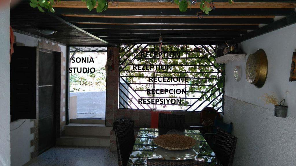 Sonia Studios Nees Kidonies Экстерьер фото